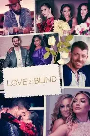 《爱情盲选第三季》：现代约会秀的真爱考验与情感冒险